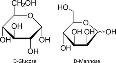 Considerations on D-mannose Mechanism of Action and Consequent Classification of Marketed Healthcare Products